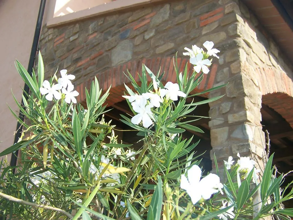 Agriturismo La Nocciolina Venturina Terme 0*,  Italy