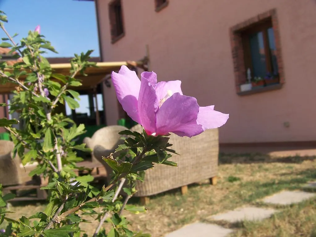 Agriturismo La Nocciolina Venturina Terme Farm stay